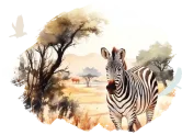 Arusha Eintages-Safari