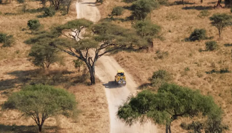 На наших сафари вы посетите самые интересные места в парках в Танзании