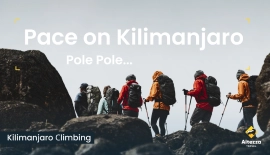 Finding Your Pace on Mt. Kilimanjaro | Altezza Travel