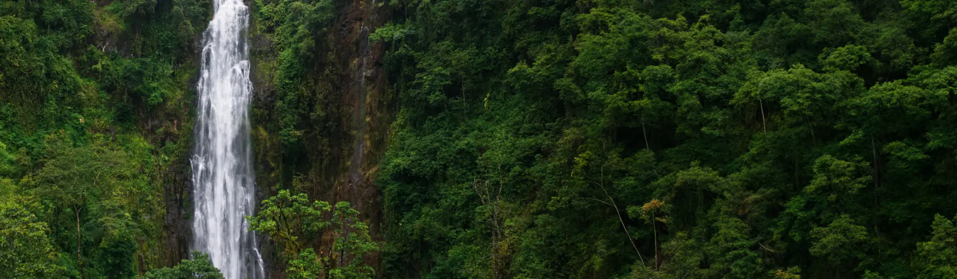 Тур на водопад Матеруни и кофейную ферму