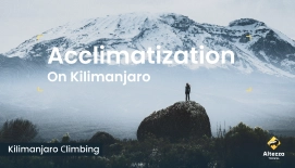 Acclimatization on Mt Kilimanjaro | Altezza Travel