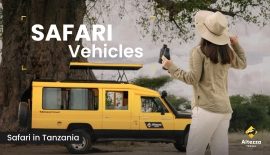 Essentials of a Perfect Safari Vehicle | Altezza Travel