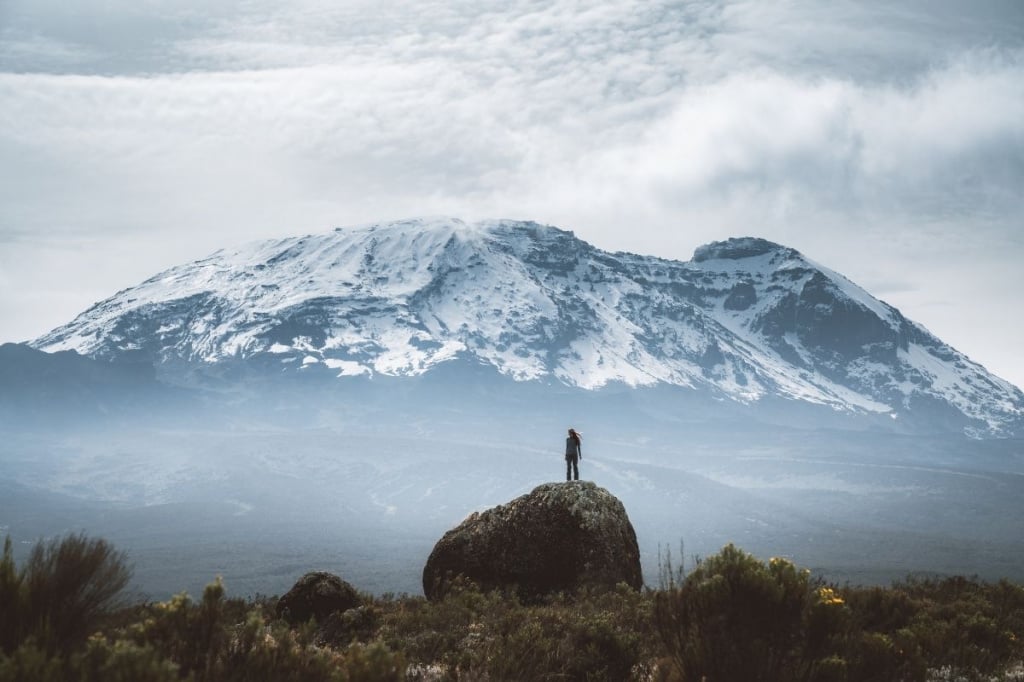 Вершина Килиманджаро. 2021 год. Altezza Travel