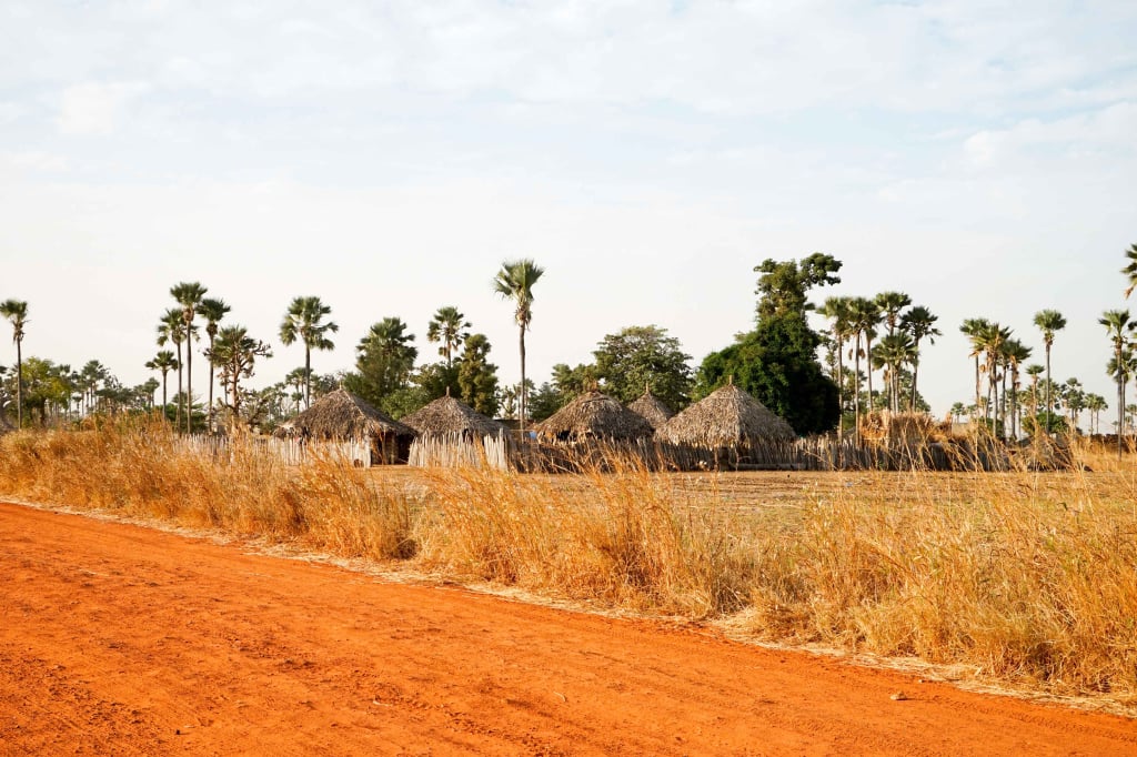  A village in Senegal, West Africa. Yellow fever is endemic to that region.