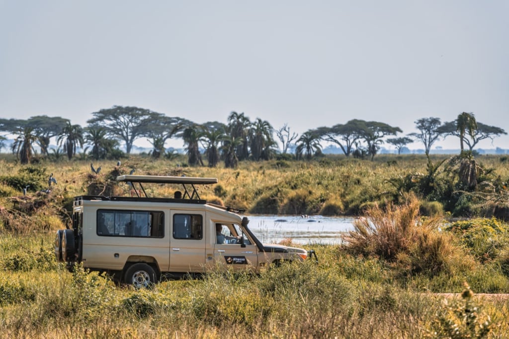 An off-road safari vehicle in a Tanzanian national park