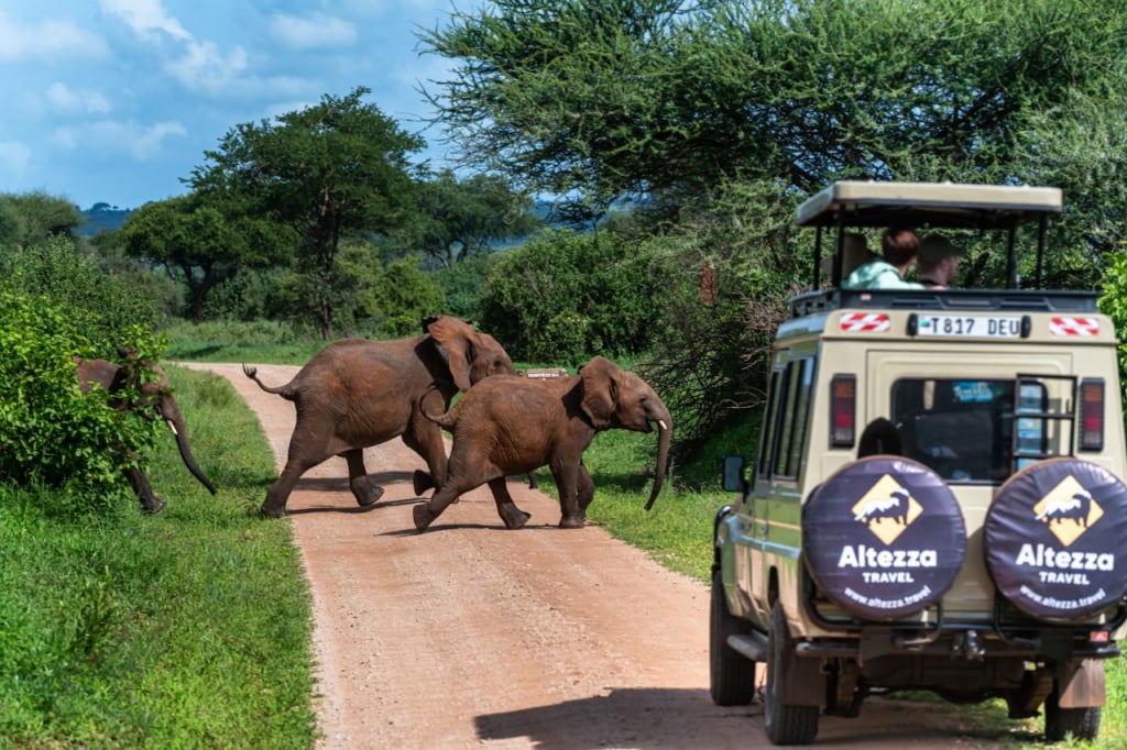 Modern safari in a Tanzanian national park, 2021