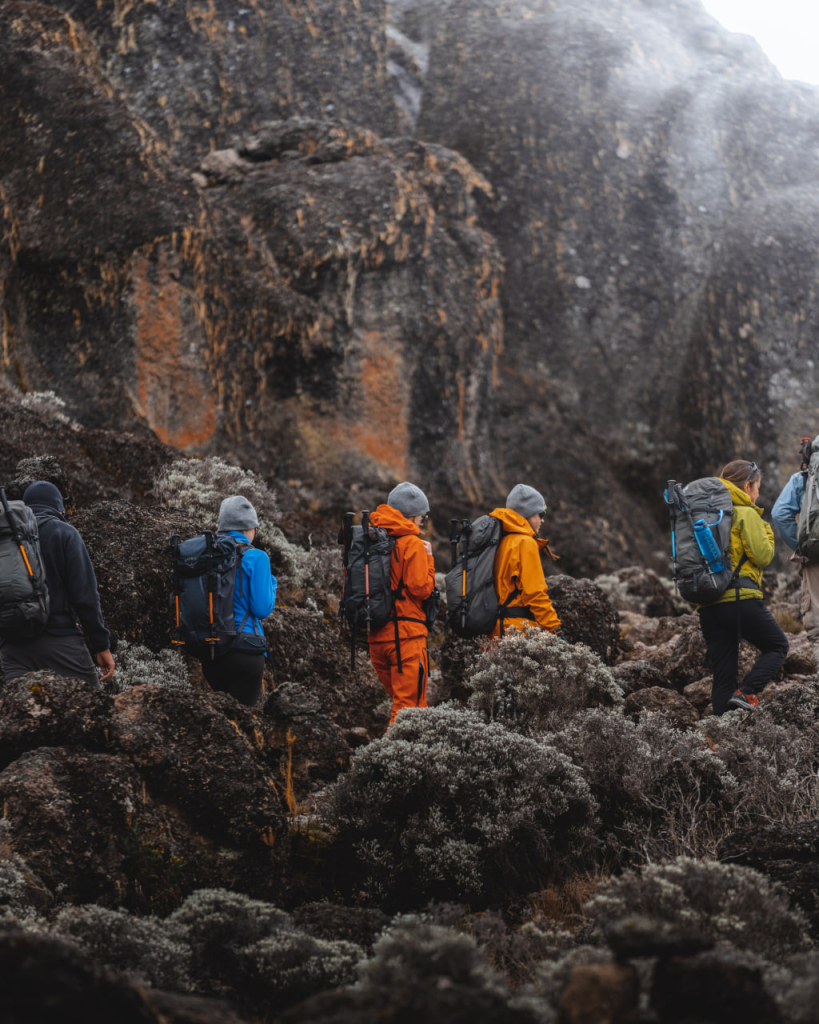 Overcoming Barranco Wall on the way to Kilimanjaros summit