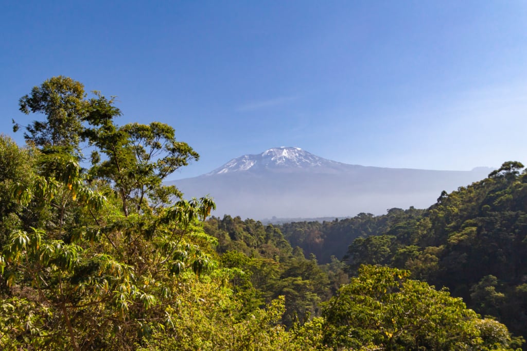 Blick auf den Kilimandscharo von der tansanischen Seite, Machame