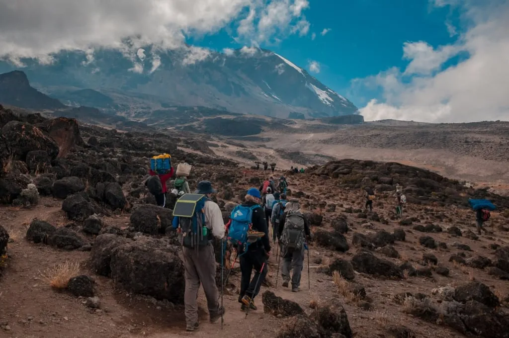 На Килиманджаро настоятельно рекомендуется использовать палки. В Altezza Travel они обязательны для всех участников экспедиций. Фото — Seshanka Samarajiwa