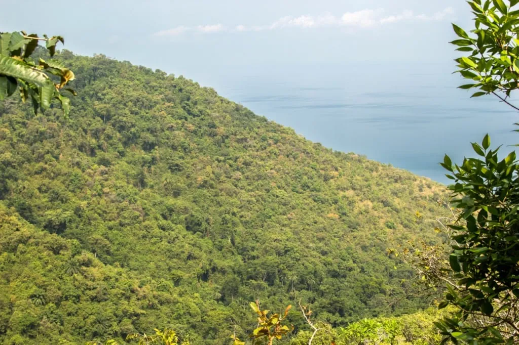 The hilly forests of Gombe Stream with Lake Tanganyika as a backdrop