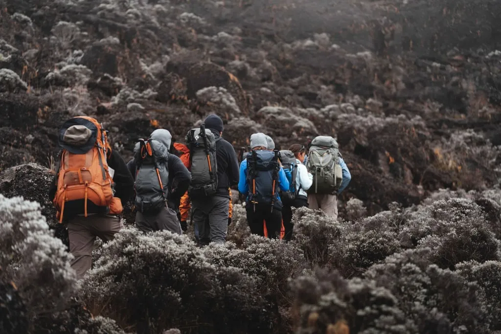Wanderer an den Hängen des Kilimandscharo