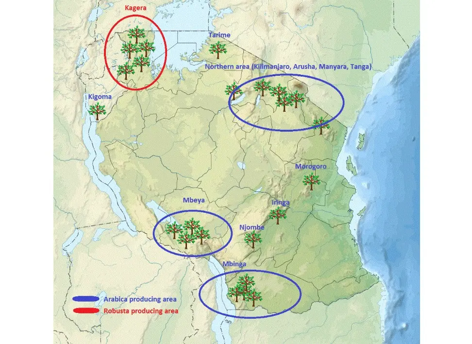  Карта Танзании с обозначением районов выращивания арабики и робусты