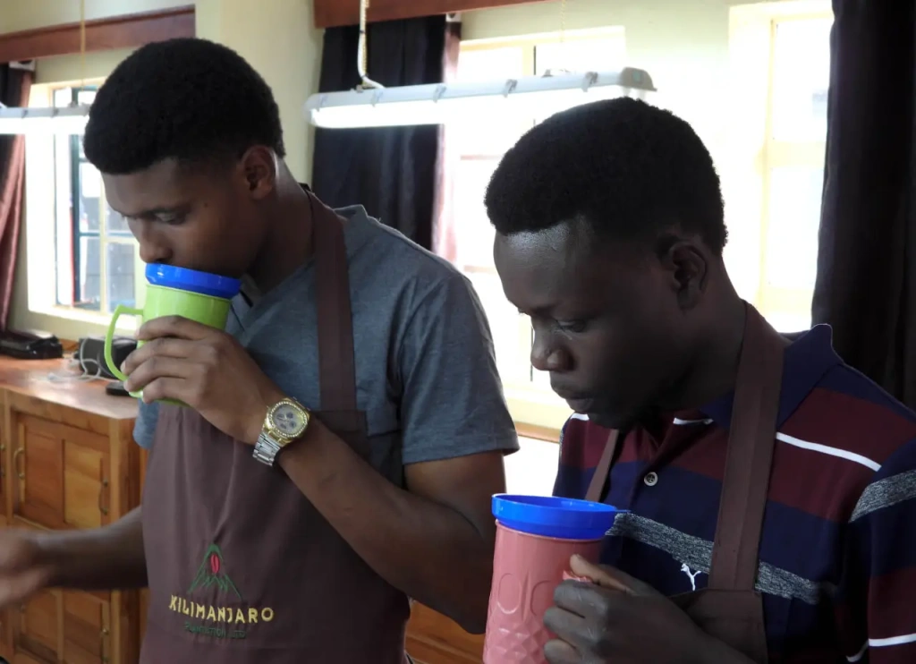 Cup taster and his assistant in the coffee laboratory Kilimanjaro Plantation LTD