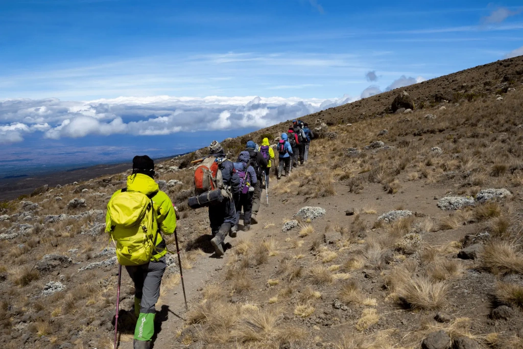 The group of Kilimanjaro hikers