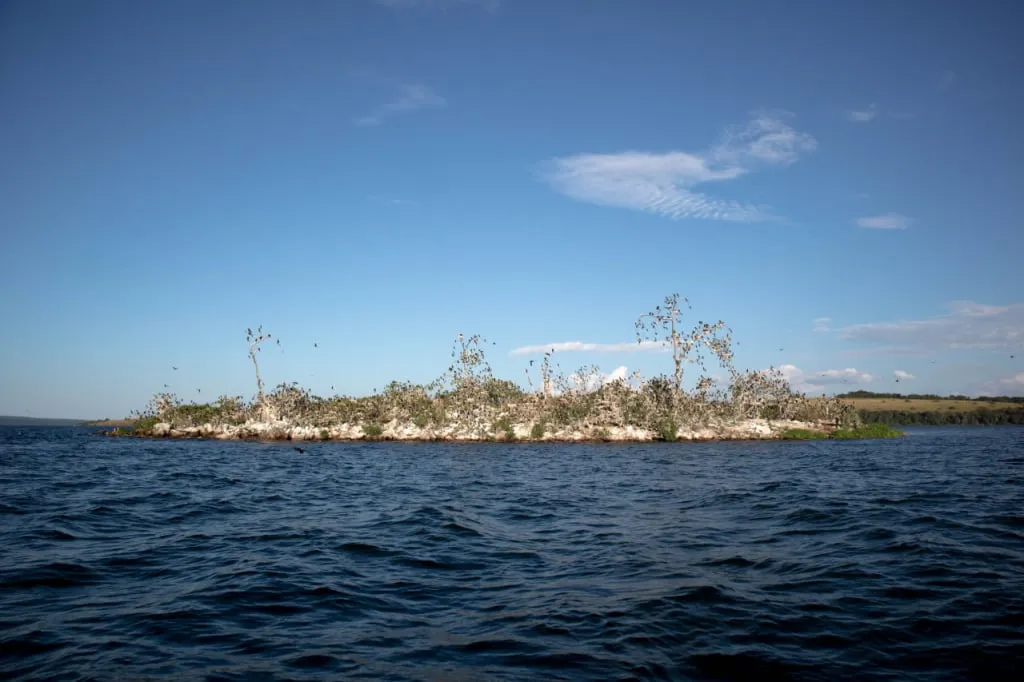 Vogelinsel Kalera am Viktoriasee. Altezza Travel Expedition, 2023.
