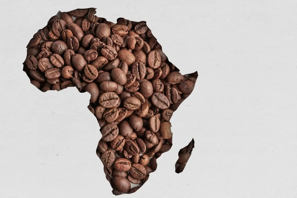 Африка — между прочим, родина кофе
