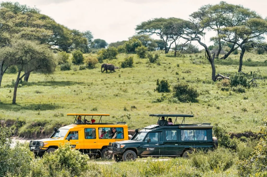 Altezza Travel SUVs auf Safari in einem tansanischen Nationalpark