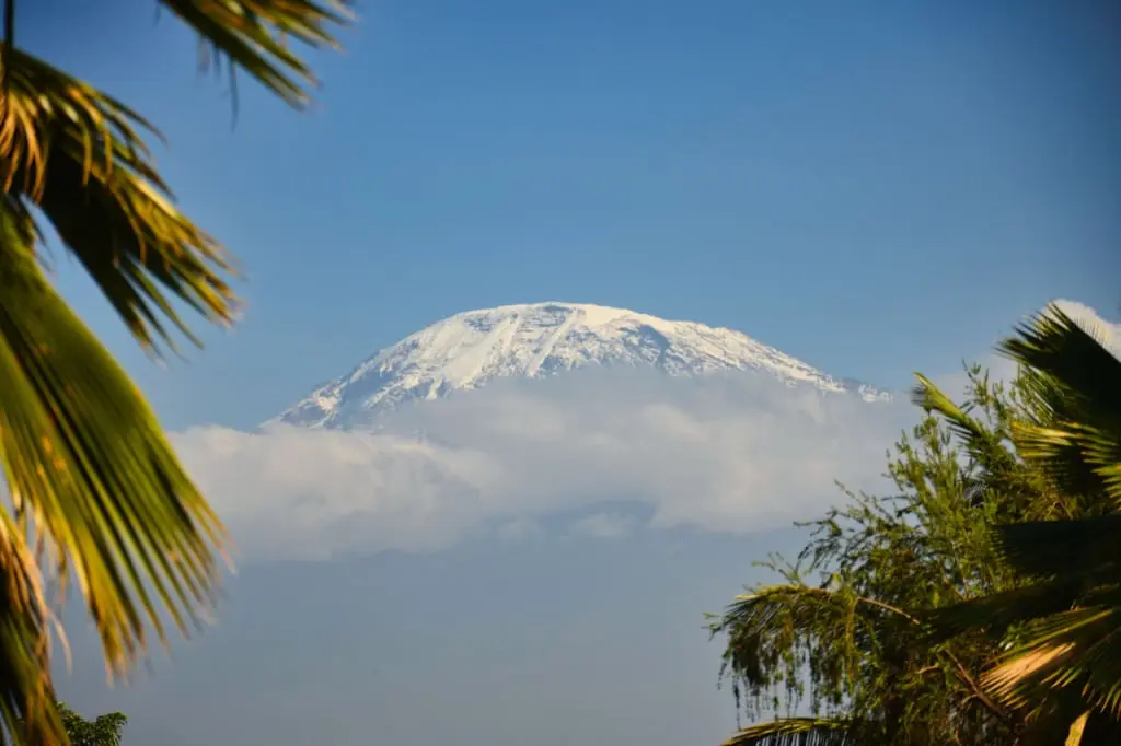 Blick auf den Kilimandscharo-Gipfel von Moshi Town aus mit der charakteristischen Schneekappe