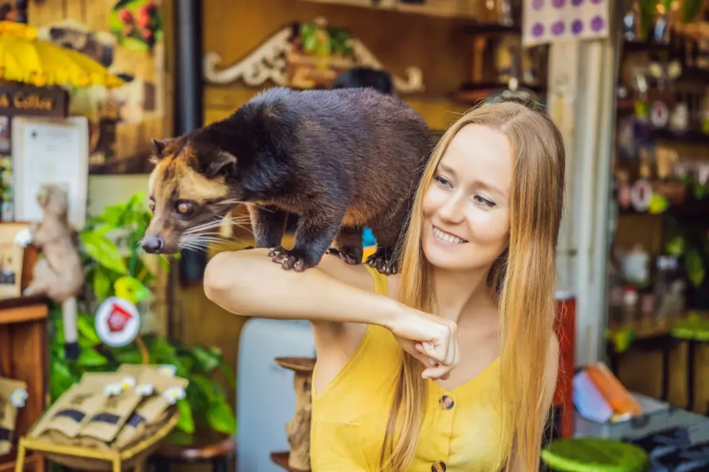 A happy girl in a coffee shop with a well-groomed civet on her han