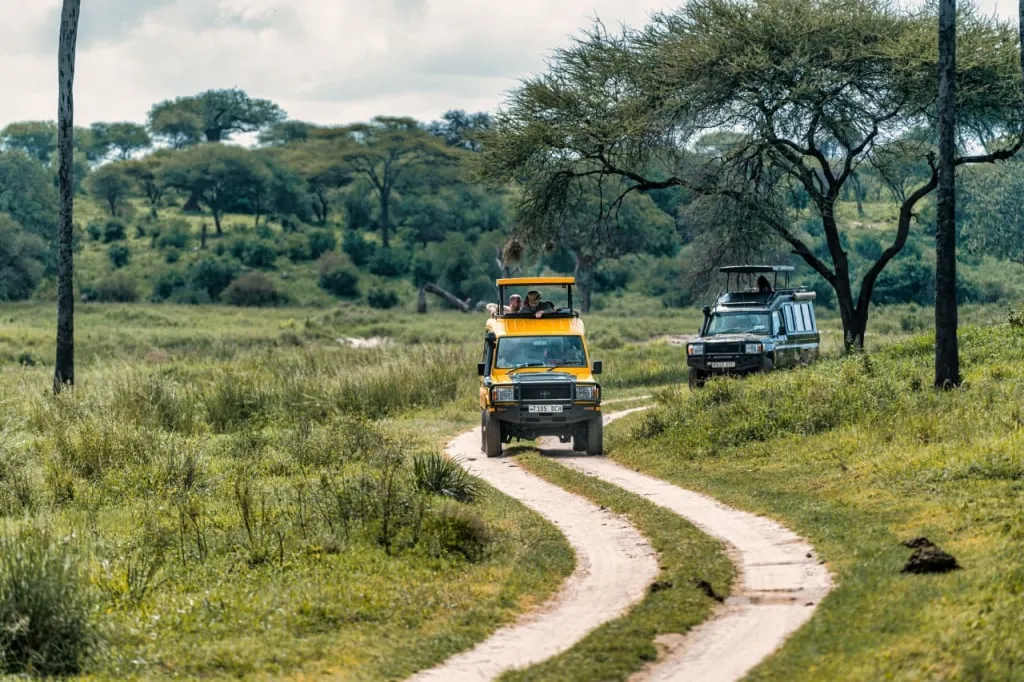  Safari-Geländewagen in einem Nationalpark