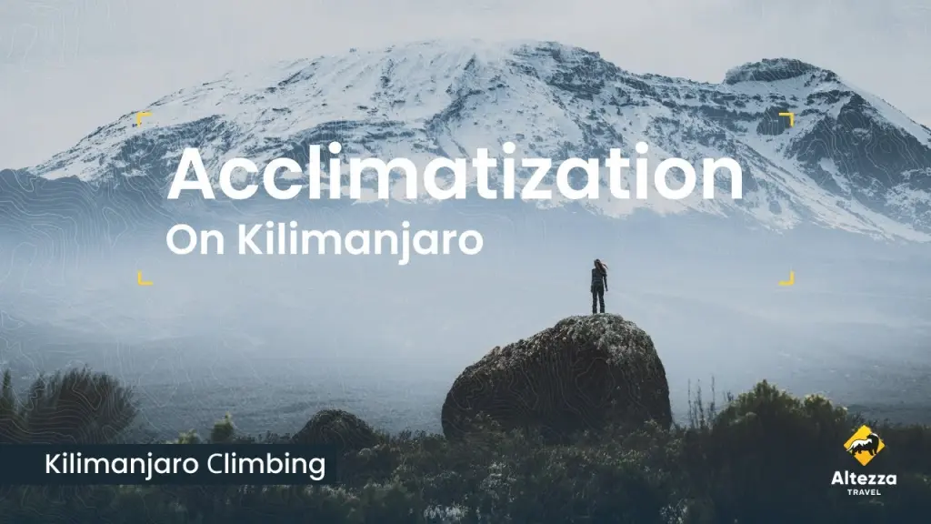 Aclimatization on Kilimanjaro