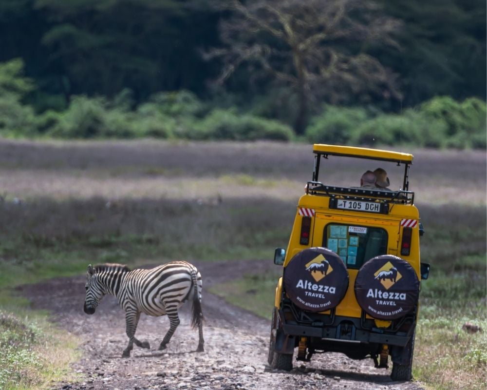 How to prepare for a safari in Tanzania?